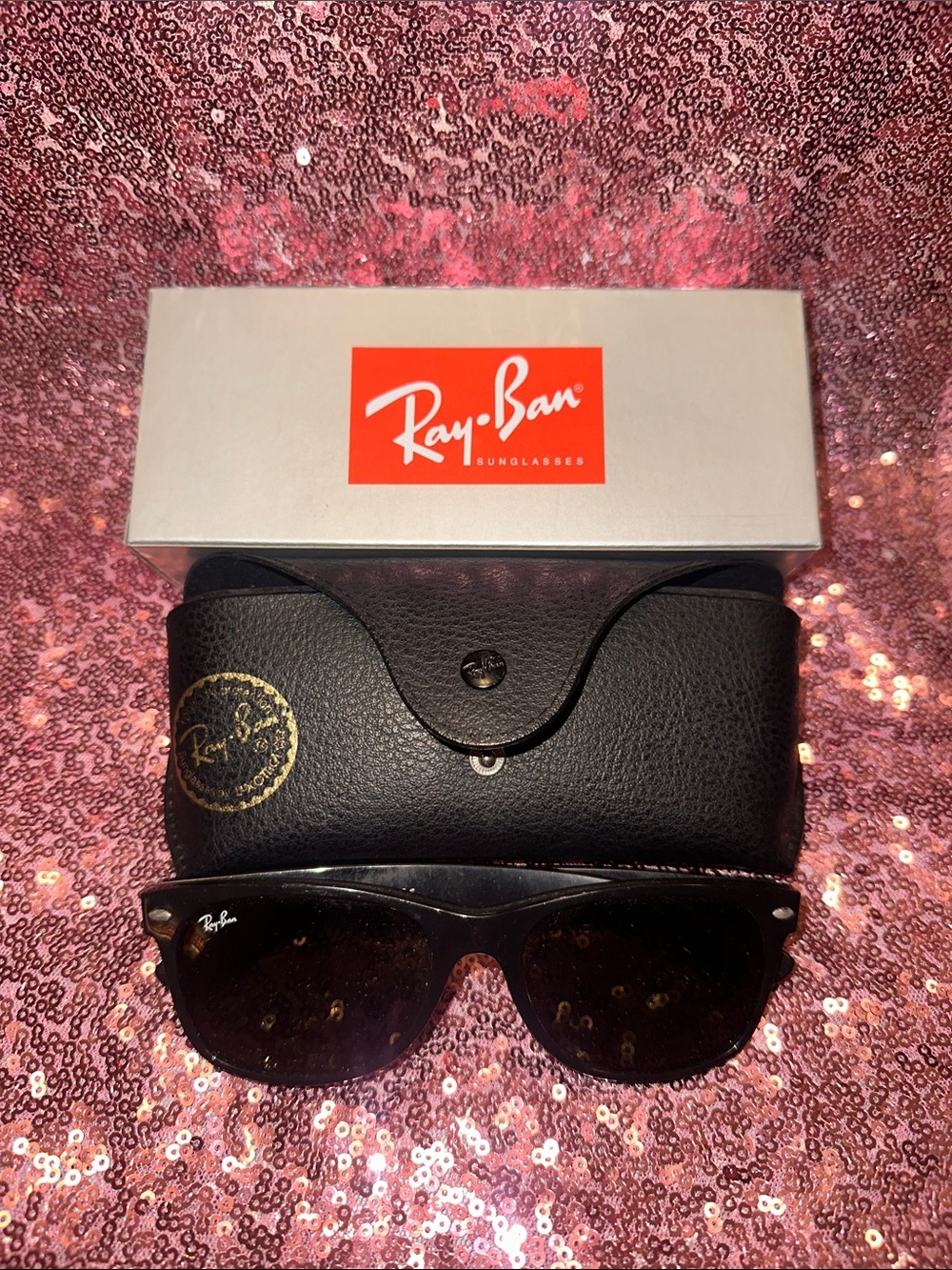 Ray-Ban Black Sunglasses with Black Case